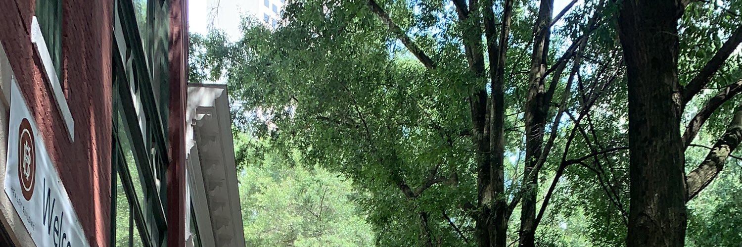 Jackie’s son banner