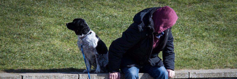 NewPathDog's profile banner image