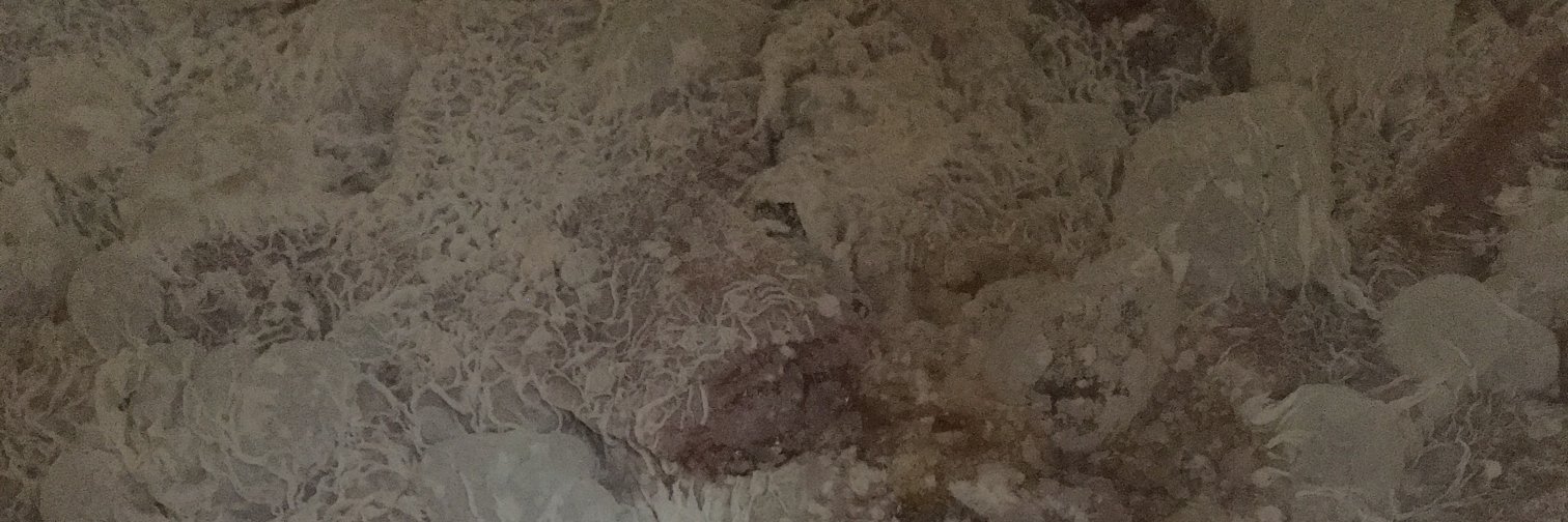 Eight-Foot Brewing banner