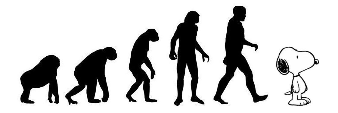 ✧⁠*⁠。.⁠｡⁠*⁠♡ banner