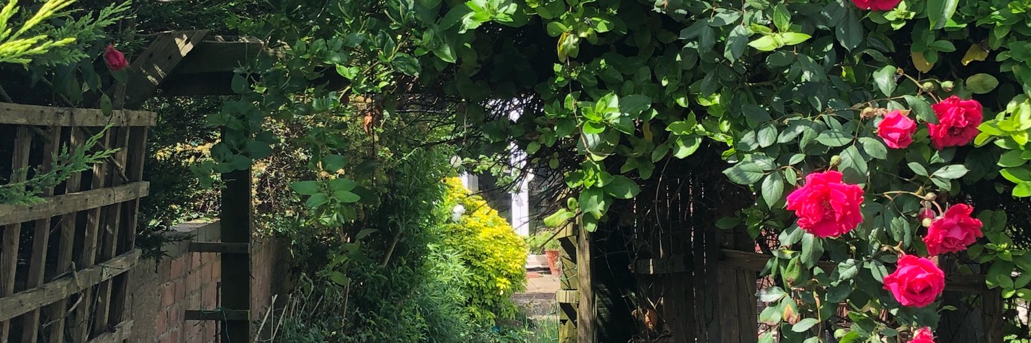 Aitchaywy Elliwhy 🐀 banner