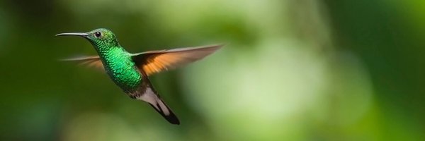 peelinglayers Profile Banner