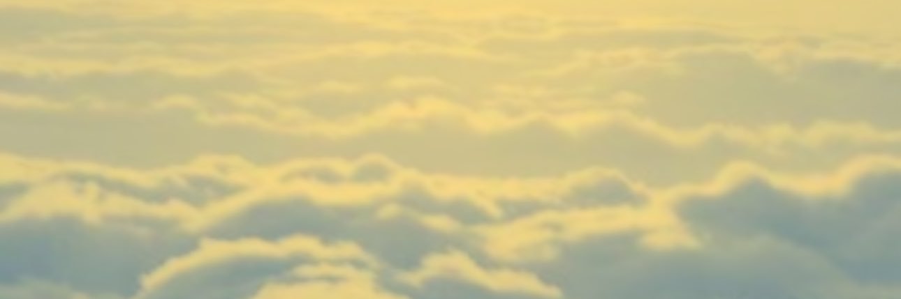 tesialuv_'s profile banner image
