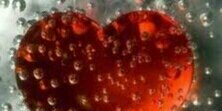 jmc0809's profile banner image