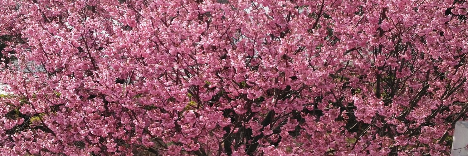 hf2k's profile banner image