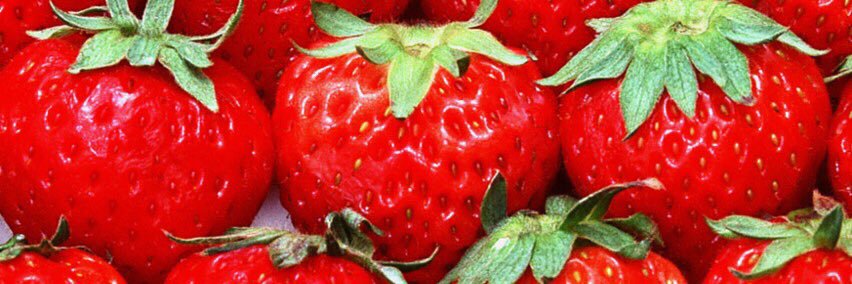 nh_1016's profile banner image