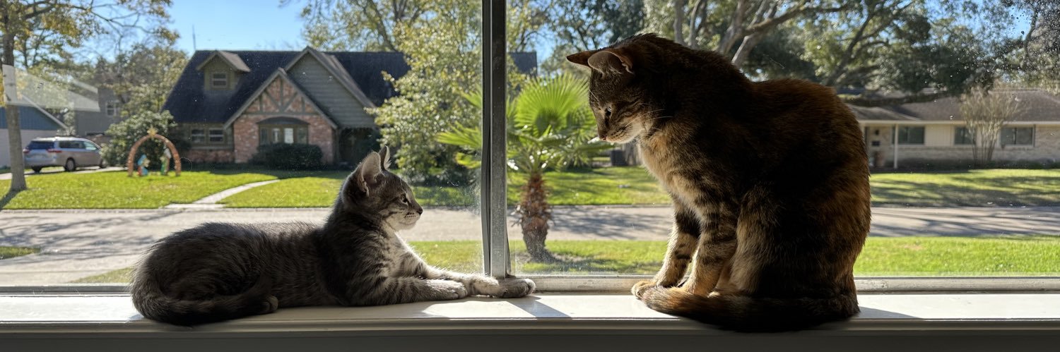 Maddy Anderson banner