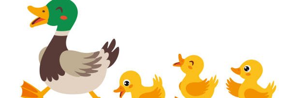 Larissa Chuente banner
