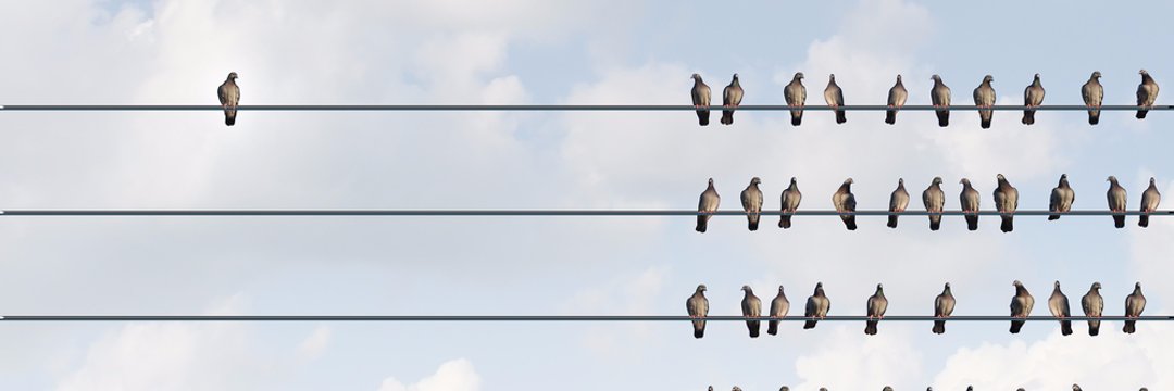 ⚡️__EntoN__ ⚡️ banner