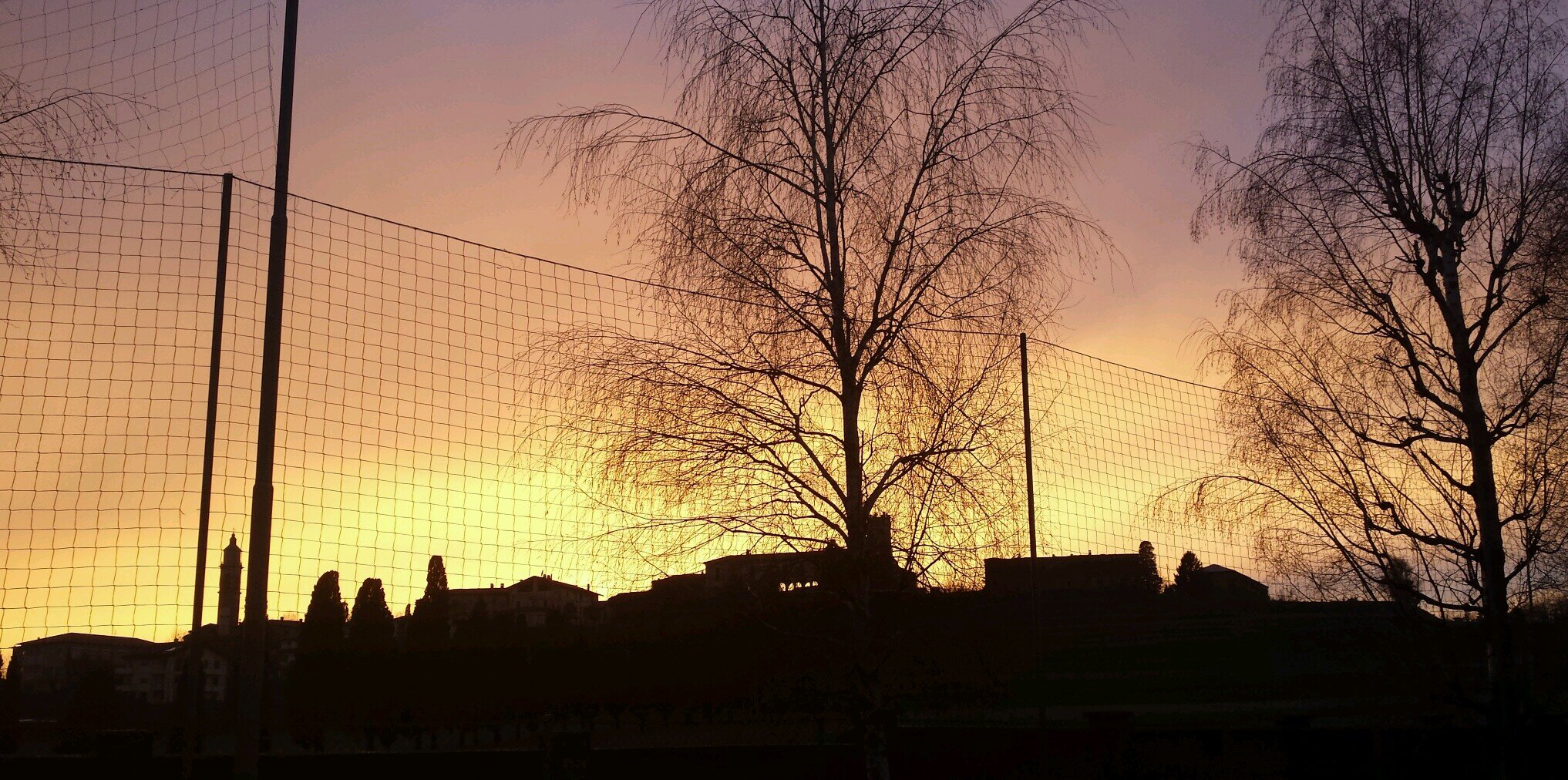 filippodonghi's profile banner image
