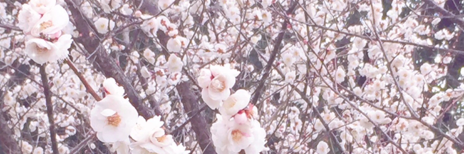 _Luminiu's profile banner image