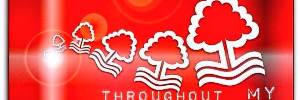 forestgooner's profile banner image
