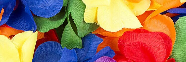 indritvrioni's profile banner image