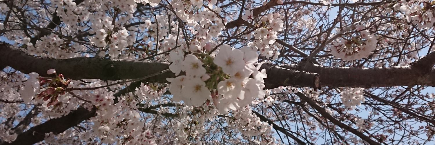 smil3838's profile banner image