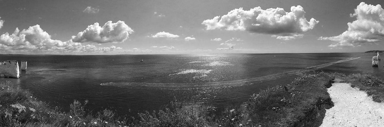 Adrian Parr 💙💛 banner