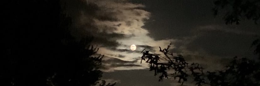 BehindSmile 🌔 (she/her) banner