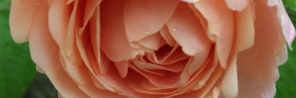 DEMETER298's profile banner image