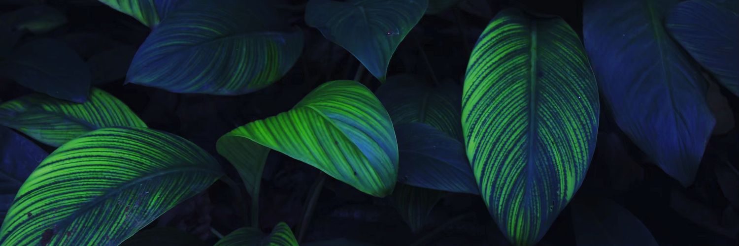 adehidayat94's profile banner image