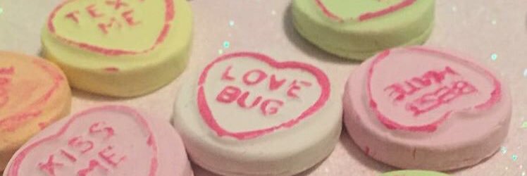 TildaLovesTeddy's profile banner image