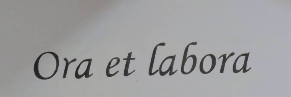 Wojciech Łapiński banner