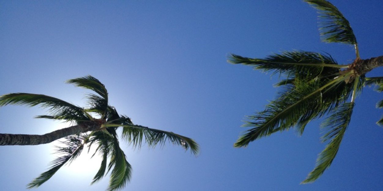 mdportas's profile banner image