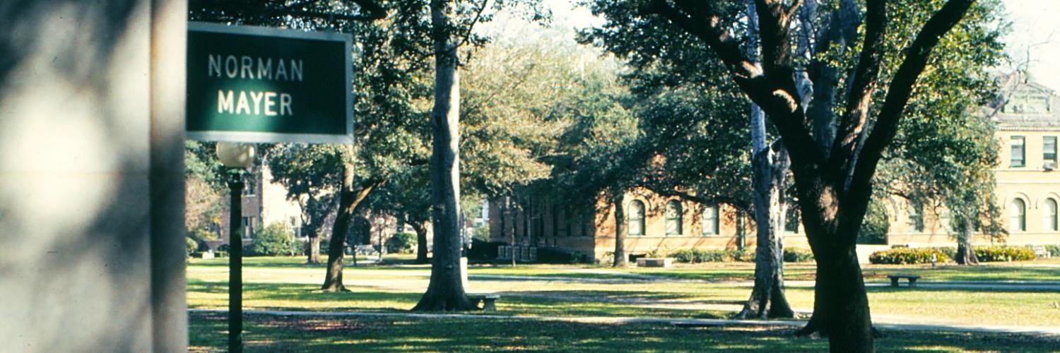 TulaneEnglish's profile banner image