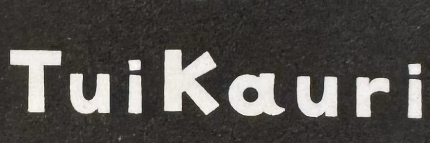 上野樹里 banner