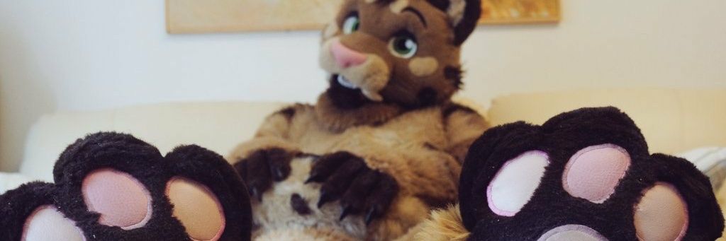 MestisoTiger's profile banner image