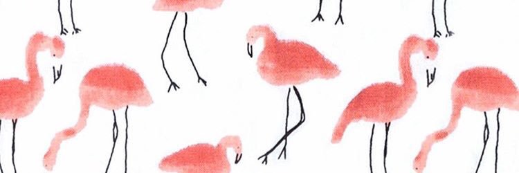 crisgallardo99's profile banner image