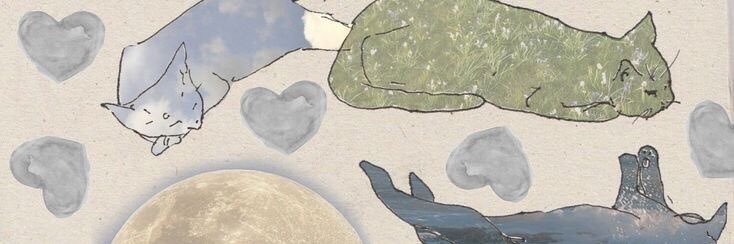 melcodic's profile banner image