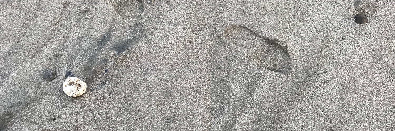 c0ldpressed's profile banner image