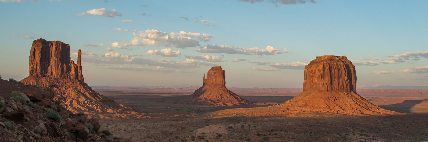 Millie Armstrong banner