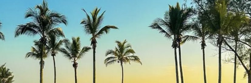 Brunetcorrea's profile banner image