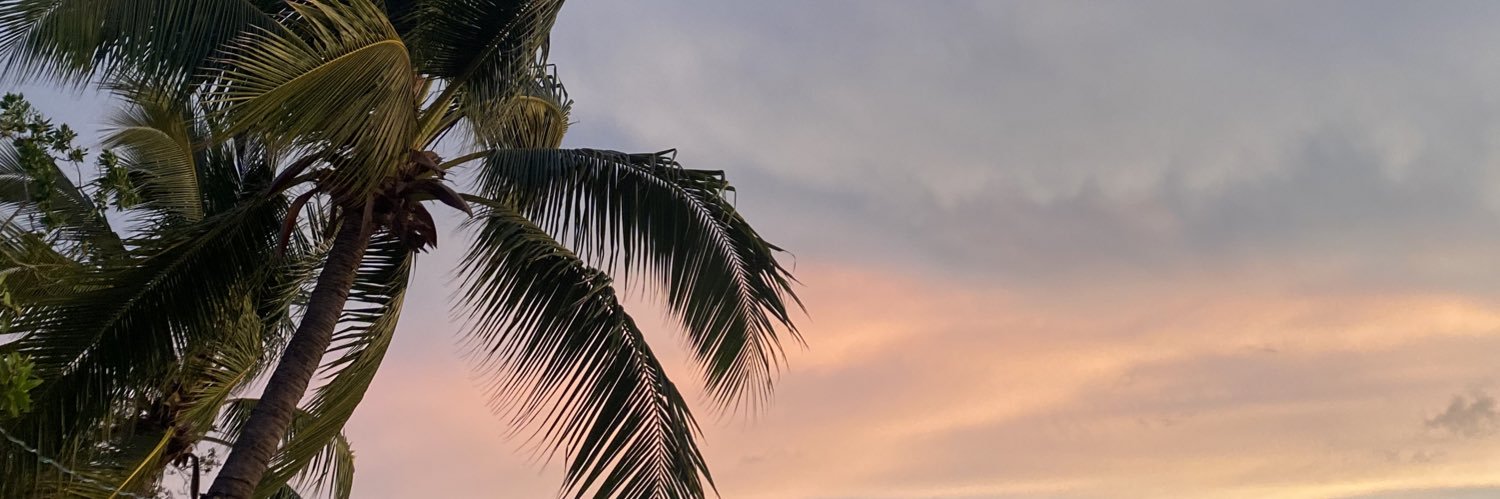 lula0690's profile banner image