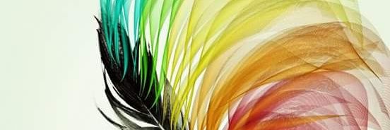 Alicia Contreras banner