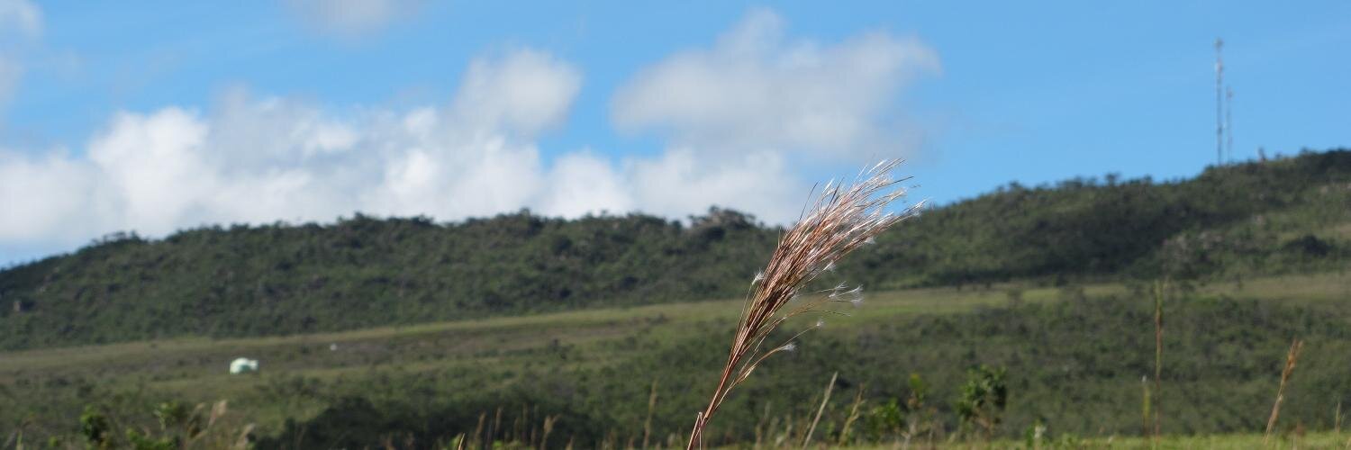 srsaude's profile banner image