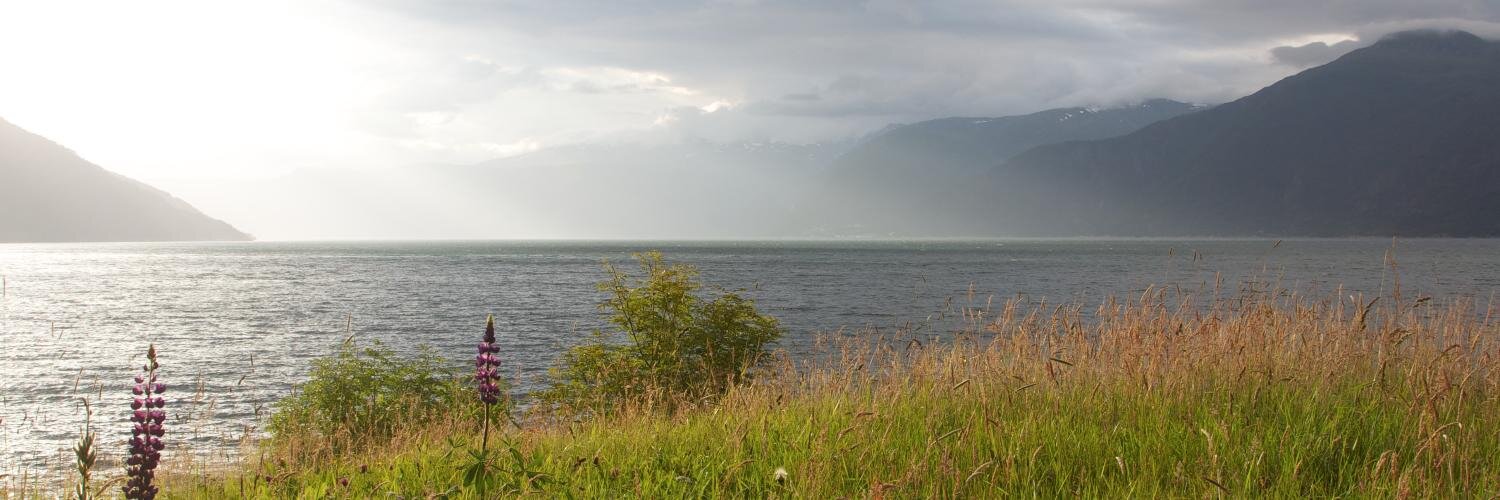 Brendan Falkowski banner