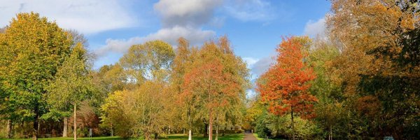 madelief114 Profile Banner