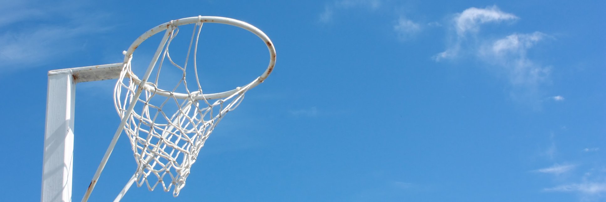 Pontyclun Panthers banner