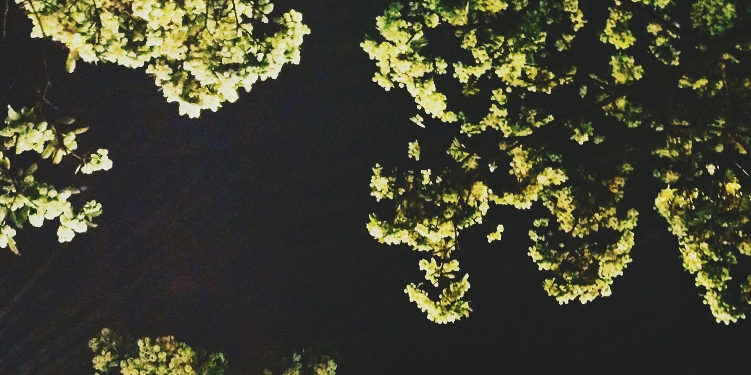 zaithakoor's profile banner image