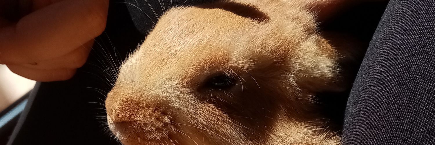annabelenmc's profile banner image