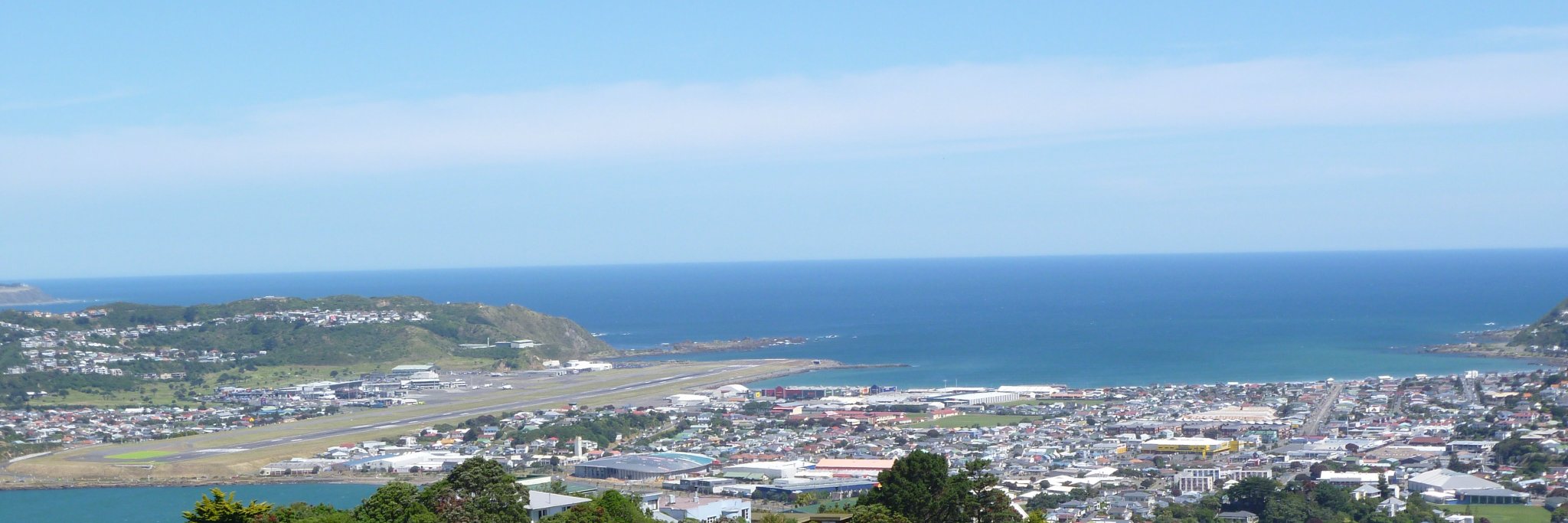 Jainie Morar banner