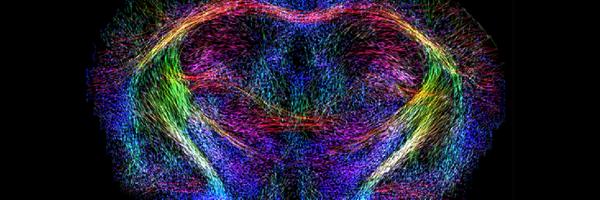 DMM_Journal Profile Banner