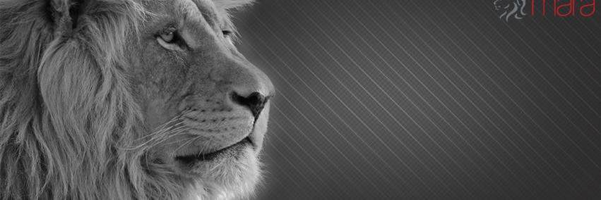 Mara Group banner