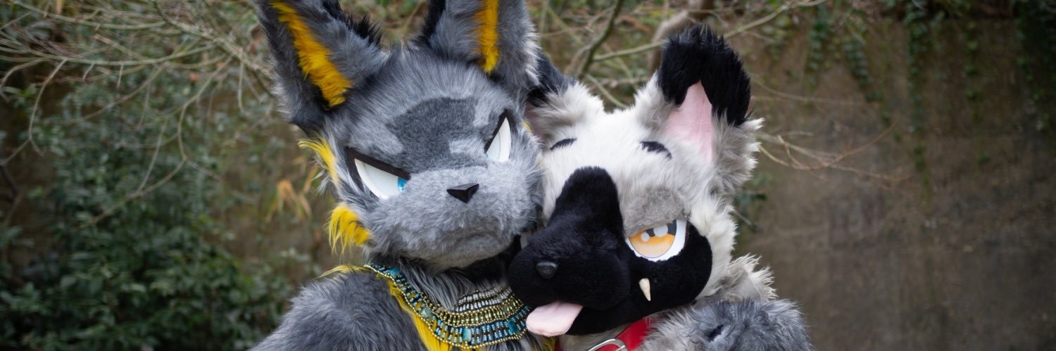 黎牙🦈🪷 banner