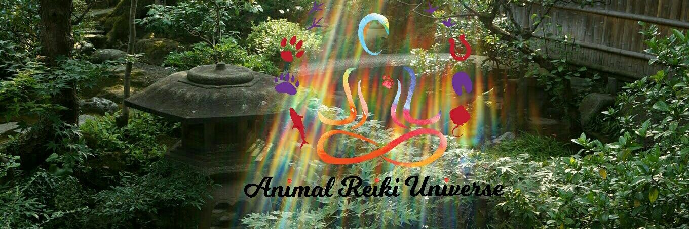 AnimalReikiUNI's profile banner image