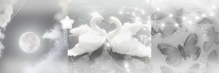 cuulter's profile banner image