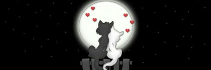 inushari's profile banner image