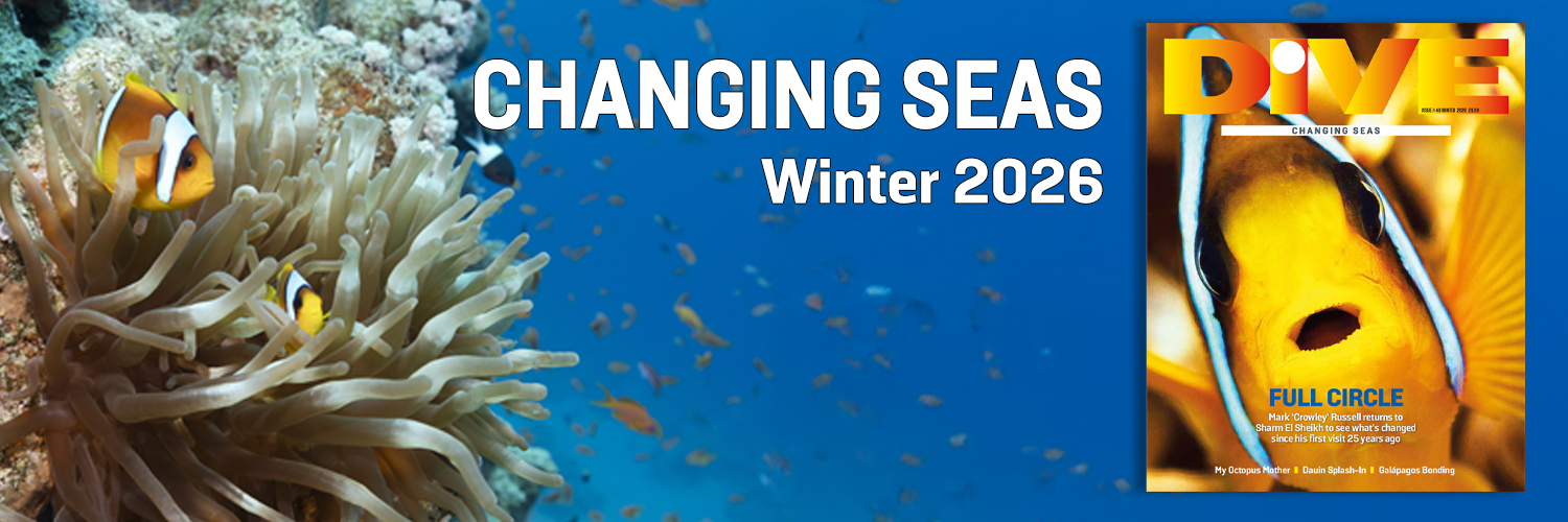 DIVE Magazine banner