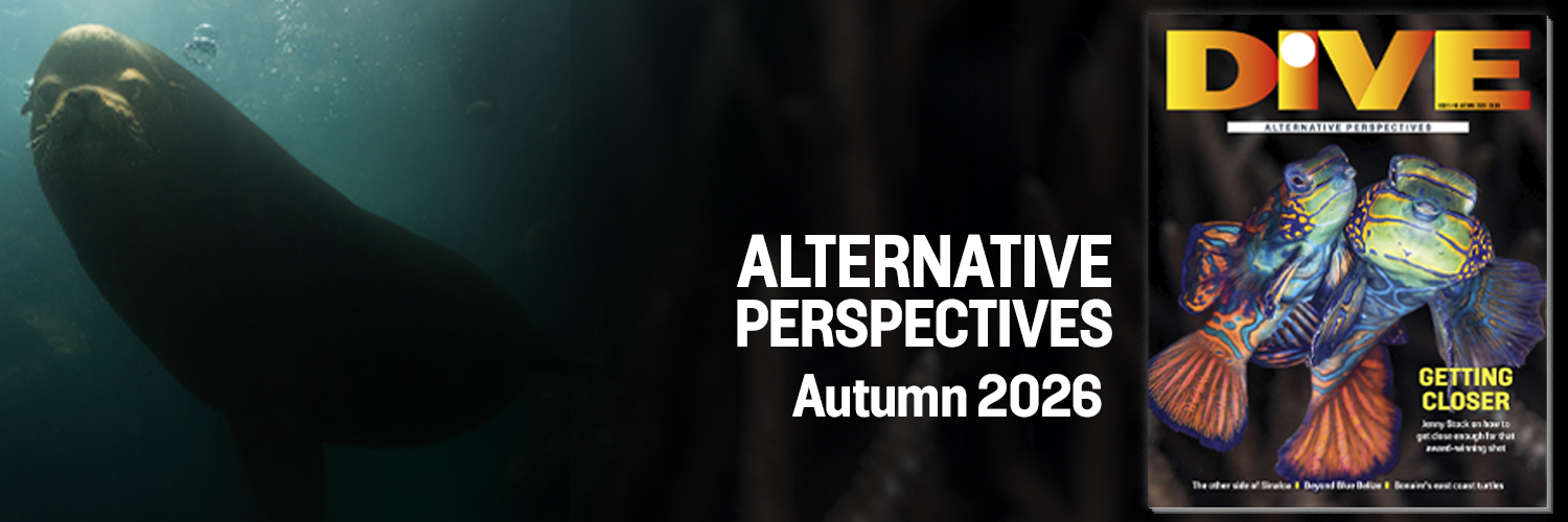DiveMagazine's profile banner image